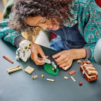 LEGO® Harry Potter™ 76425 Hedvika na Zobí ulici 4_(4)