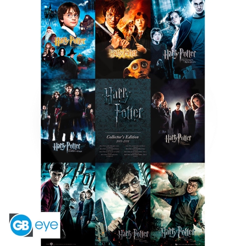 HARRY POTTER - Poster Maxi 91.5 x 61 cm - Collection*_(1)