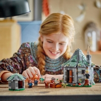 LEGO® Harry Potter™ 76428 Hagridova bouda: Neočekávaná návštěva_(3)