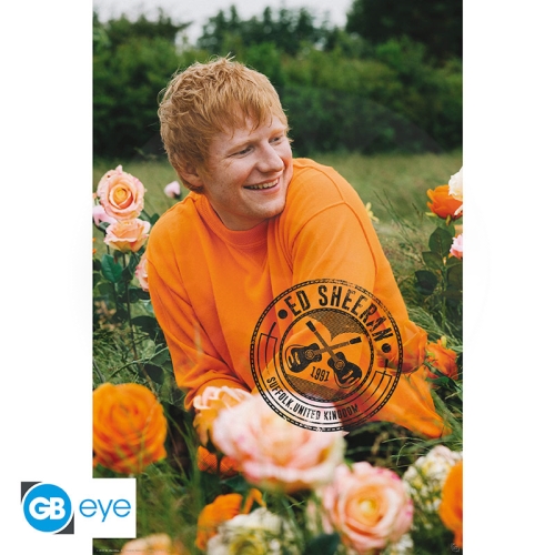 ED SHEERAN - Poster Maxi 91.5x61 - Rose Field_(1)