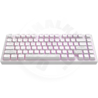 Dark Project ALU Terra Nostra R2 White - Wired Gaming Keyboard (ANSI) Dark Project ALU Terra Nostra R2 White - Wired Gaming Keyboard (ANSI)