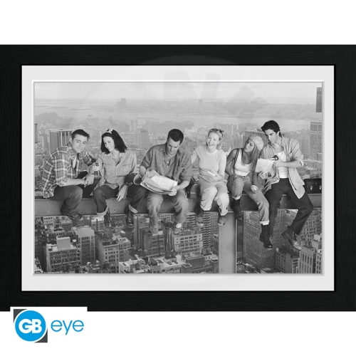 FRIENDS - Framed print "On Girder" (30x40)_(1)