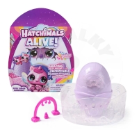 Hatchimals Balení Plné Překvapení