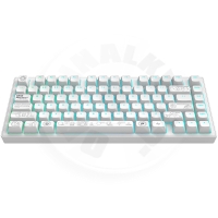 Dark Project ALU Terra Nova R2 White - Wireless Gaming Keyboard (ANSI) Dark Project ALU Terra Nova R2 White - Wireless Gaming Keyboard (ANSI)